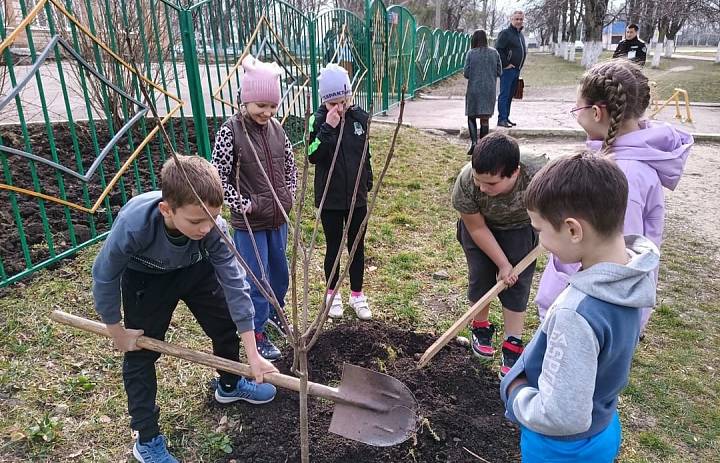 Всероссийская акция " Сохраним лес "